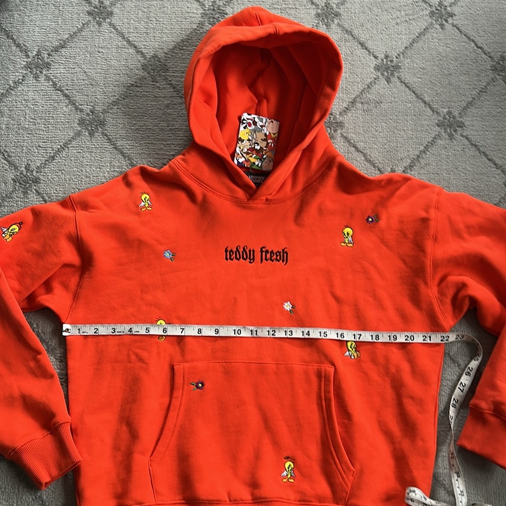 Teddy Fresh Looney Tunes Tweety Bird Embroidered Hoodie - Picture 5 of 8